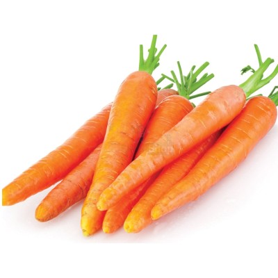 Морковь молодая 1 кг - купить в Лобанове